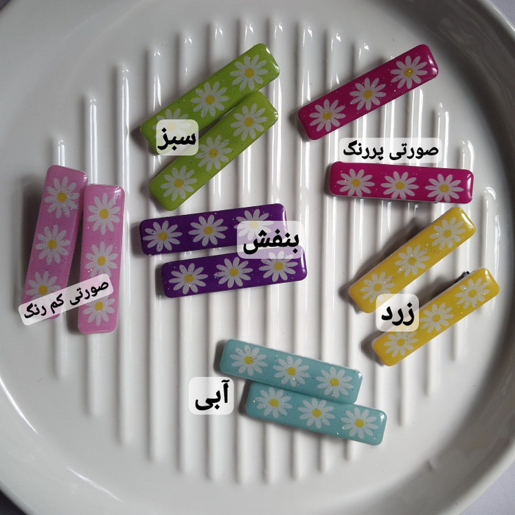 گیره مو انبری رزینی گلدار جفتی | کلیپس فانتزی رنگی